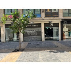 LOCAL COMERCIAL CALLE EN SANZ